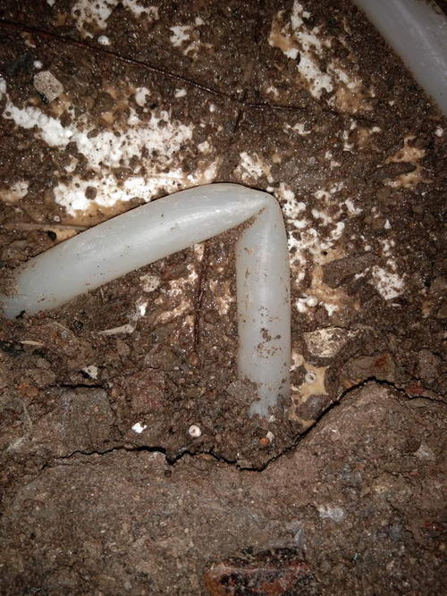 大姚堵点精准查找